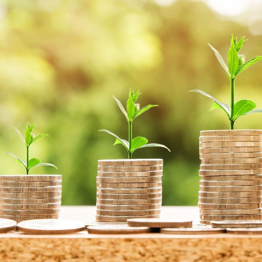 Что Вы получаете