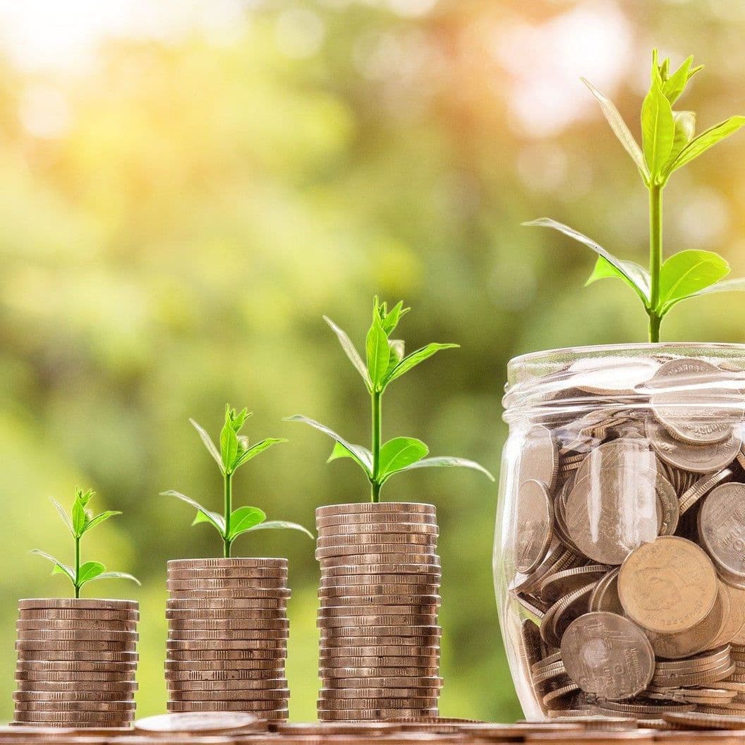 Что Вы получаете